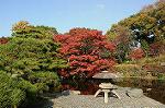 Dcim5524/DSC_0566