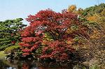 Dcim5524/DSC_0571