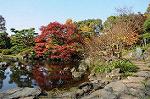 Dcim5524/DSC_0572
