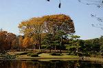 Dcim5524/DSC_0587