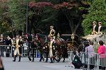 Dcim5525/DSC_0803