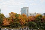 Dcim5526/DSC_0837
