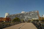 Dcim5527/DSC_9828