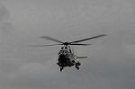 Dcim5528/DSC_1084