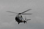 Dcim5528/DSC_1086