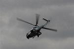 Dcim5529/DSC_1102