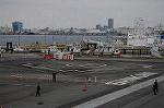 Dcim5531/DSC_1447