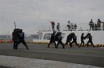 Dcim5533/DSC_1659