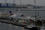 Dcim5535/DSC_1974