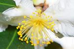 Dcim5537/DSC_2072