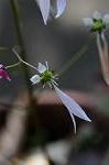 Dcim5537/DSC_2085