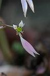 Dcim5537/DSC_2090