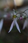 Dcim5537/DSC_2094