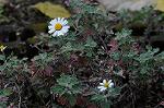 Dcim5538/DSC_2273