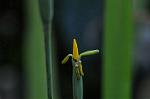 Dcim5539/DSC_2409