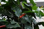 Dcim5539/DSC_2419