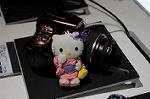 Dcim5542/DSC_2503