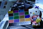 Dcim5542/DSC_2527