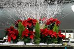 Dcim5543/IMG_5920
