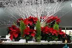 Dcim5543/IMG_5922