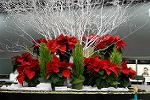 Dcim5543/IMG_5924