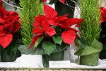 Dcim5543/IMG_5951