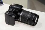 Dcim5543/IMG_5954