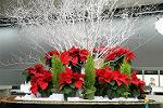 Dcim5544/IMG_9991