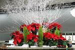 Dcim5544/IMG_9992