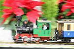 Dcim5545/IMG_0019