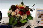 Dcim5546/DSC00002