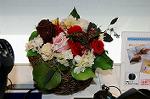 Dcim5546/DSC00003