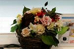 Dcim5546/DSC00019