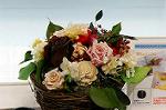Dcim5546/DSC00021