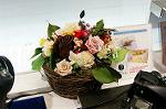 Dcim5546/DSC00055