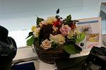 Dcim5546/DSC00057