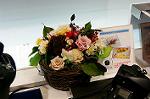 Dcim5546/DSC00058