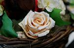 Dcim5547/DSC00064