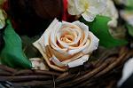 Dcim5547/DSC00065