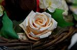 Dcim5547/DSC00066