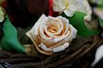 Dcim5547/DSC00069