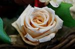 Dcim5547/DSC00070