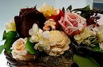 Dcim5547/DSC00100