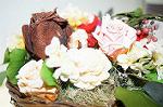 Dcim5547/DSC00105