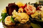 Dcim5547/DSC00106