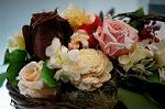 Dcim5547/DSC00107
