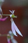 Dcim5561/DSC_2047