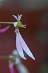 Dcim5561/DSC_2048