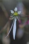 Dcim5561/DSC_2058
