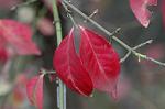 Dcim5561/DSC_2069
